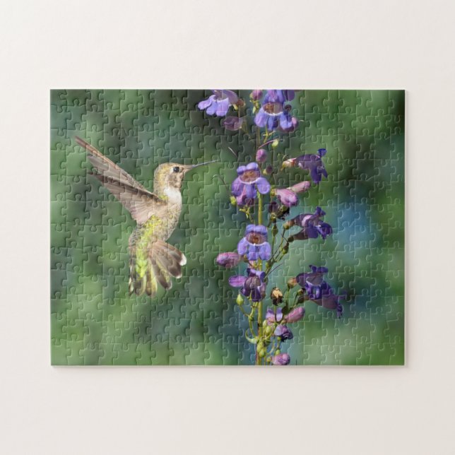 Hummingbird under flygning med blomkorgussel pussel (Horisontell)