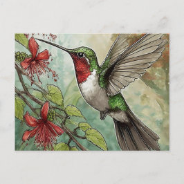 Hummingbird under flygning med rött trumpet Vine Vykort
