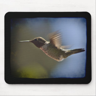 Hummingbird under flygning musmatta