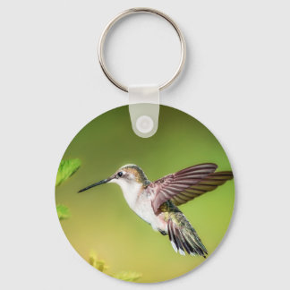Hummingbird under flygning nyckelring