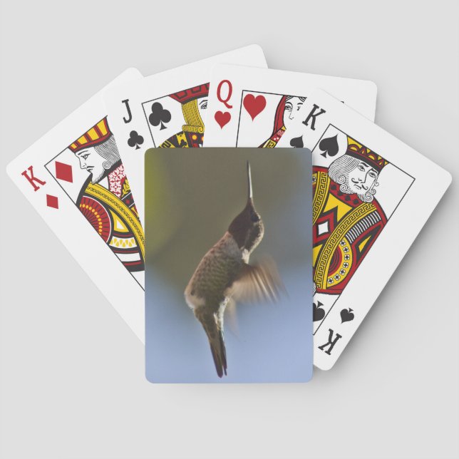 Hummingbird under flygning spel kort (Baksidan)