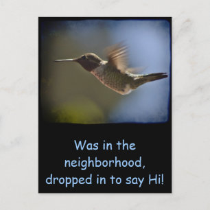 Hummingbird under flygning vykort