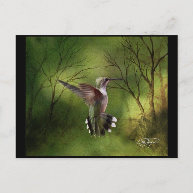 Hummingbird under flygning vykort (Framsida)