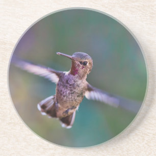 Hummingbird Underlägg Sandsten