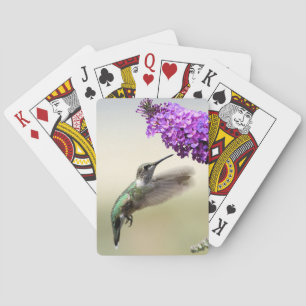 Hummingbird-uppsamlingskort Casinokort