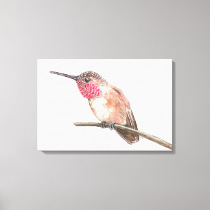 Hummingbird, vattenfärg canvastryck
