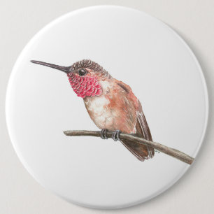 Hummingbird, vattenfärg knapp