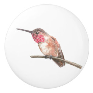 Hummingbird, vattenfärg knopp