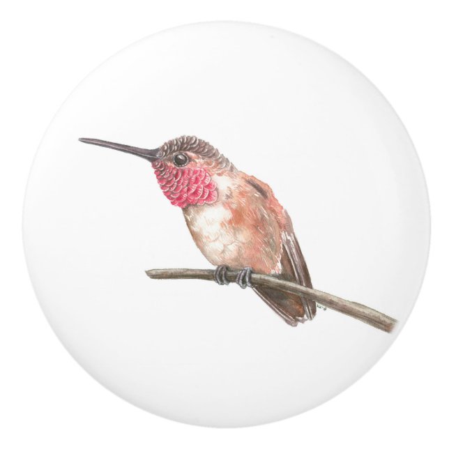 Hummingbird, vattenfärg knopp (Framsidan)
