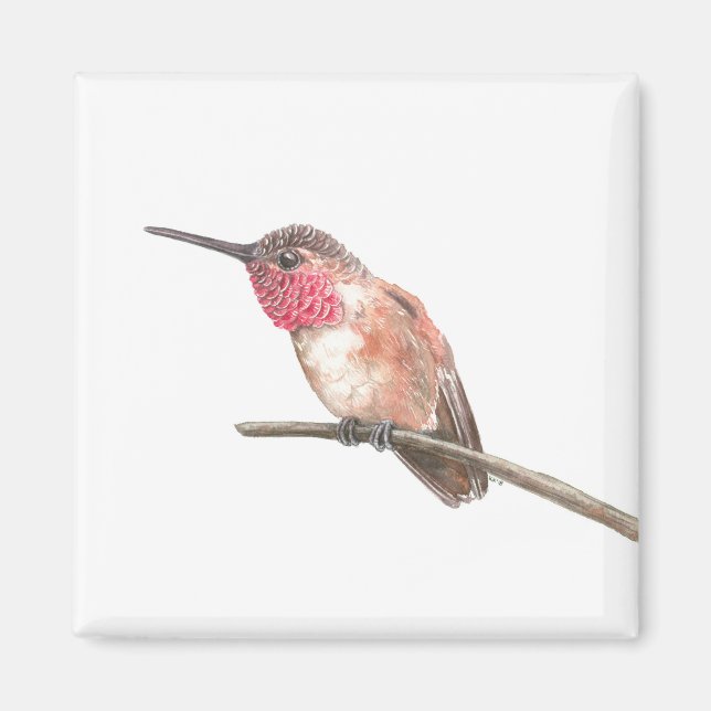 Hummingbird, vattenfärg magnet (Framsidan)
