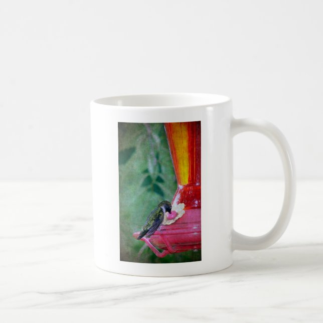 Hummingbird vid feeder kaffemugg (Höger)
