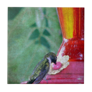 Hummingbird vid feeder kakelplatta