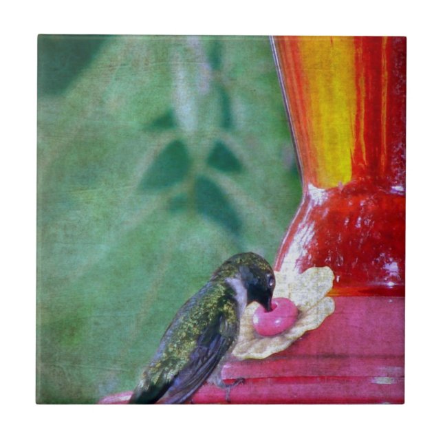 Hummingbird vid feeder kakelplatta (Framsidan)