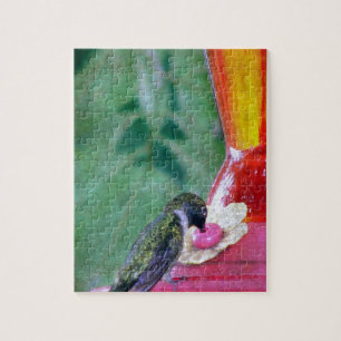 Hummingbird vid feeder pussel