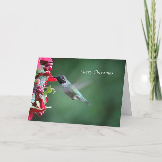 Hummingbird vid julmataren helgkort (Framsida)