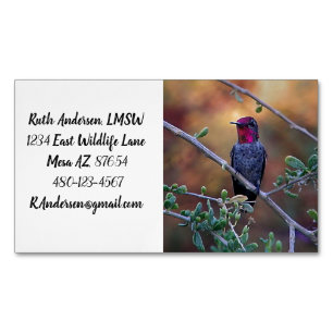 Hummingbird vid solnedgången magnetiska visitkort
