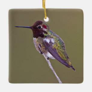 Hummingbird vilande julgransprydnad keramik