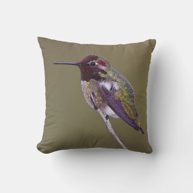 Hummingbird vilande kudde (Framsida)