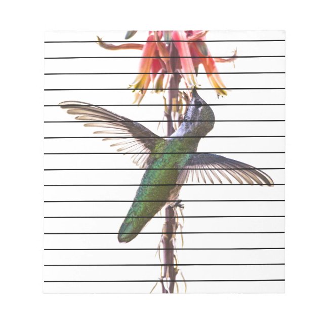 Hummingbird vingar anteckningsblock (Framsida)