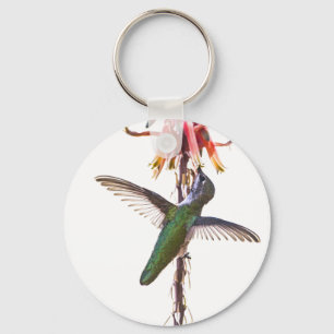 Hummingbird vingar nyckelring