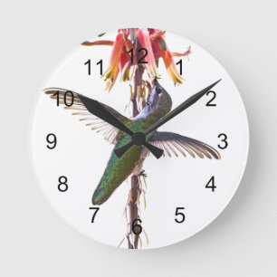 Hummingbird Vinge Rund Klocka