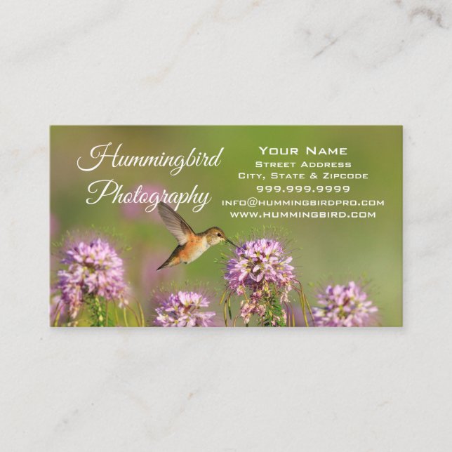 Hummingbird Visitkort (Framsida)