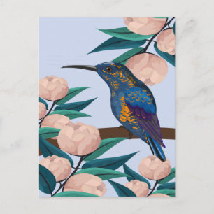 Hummingbird Vykort