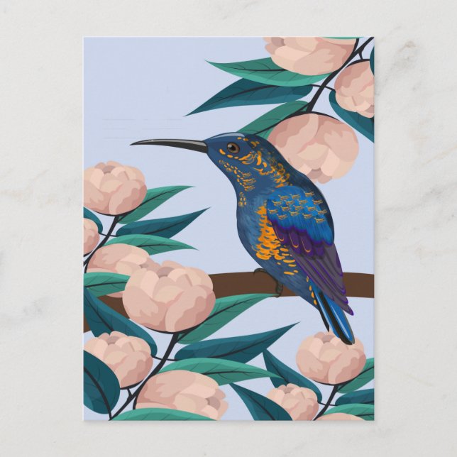 Hummingbird Vykort (Framsida)