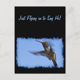 Hummingbird Vykort