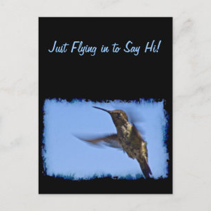 Hummingbird Vykort