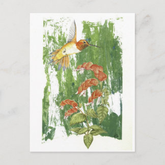 Hummingbird Vykort