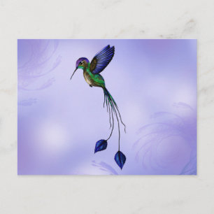Hummingbird Vykort