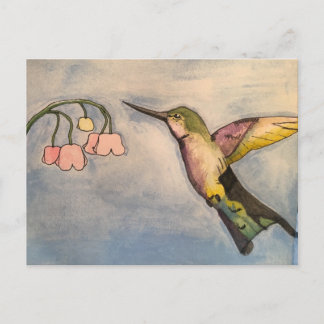 Hummingbird Vykort