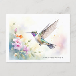 Hummingbird Vykort