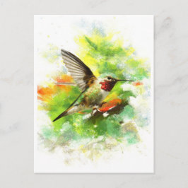 Hummingbird Vykort