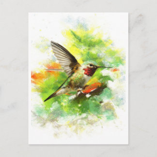 Hummingbird Vykort