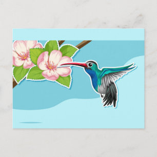 Hummingbird-vykort Vykort
