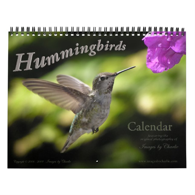 Hummingbird Wall Calendar Kalender (Omslag)
