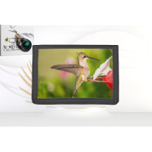 Hummingbird Wallet Design #108A0605
