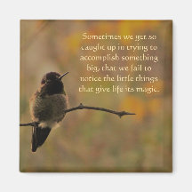 Hummingbird Warm Färg inspirational Quote