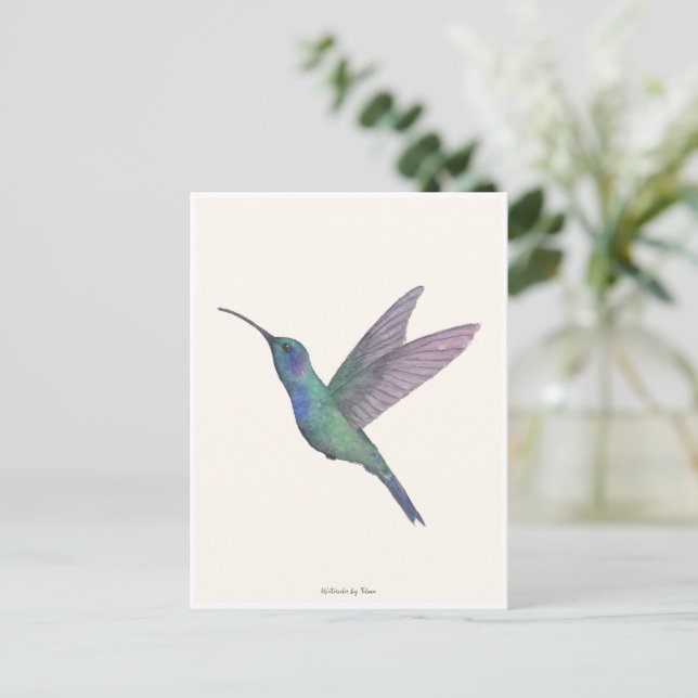 Hummingbird Watercolor Vykort (Stående Fram)
