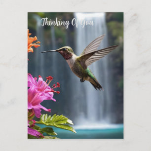 Hummingbird Waterfall Park, Vykort