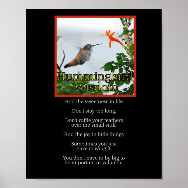 Hummingbird Wisdom Poster (Framsidan)