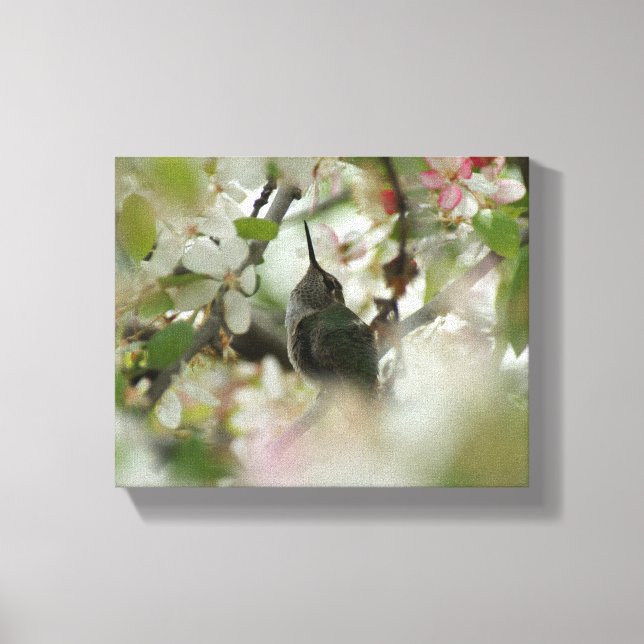 Hummingbird Wrapped Canvas (Framsida)