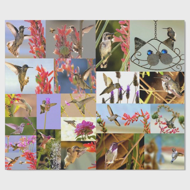 Hummingbird Wrapping Paper Presentpapper (Platt)
