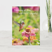 Hummingbird Zinnia Blommigt