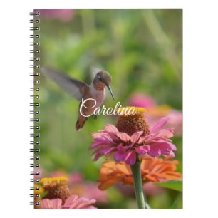 Hummingbird Zinnia Flowers Anteckningsbok