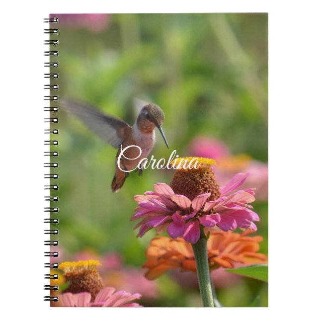 Hummingbird Zinnia Flowers Anteckningsbok (Framsidan)