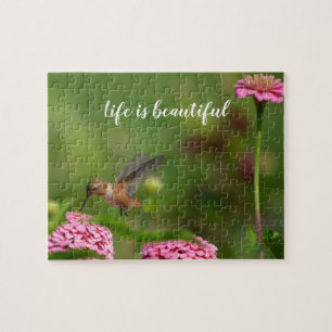 Hummingbird Zinnia Flowers Garden Pussel