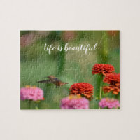 Hummingbird Zinnia Flowers